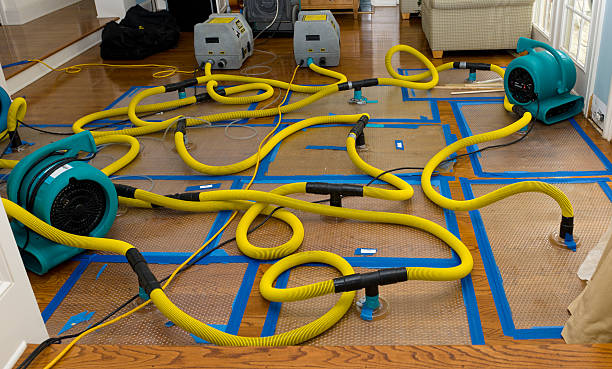 Professional Water Extraction technician working in Waverly, OH